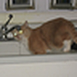 Profile Picture of Shelly Ann* (@shelly ann*) on Flickr