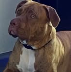 Profile Picture of Rob Newton (@rob.newton.9085) on Facebook