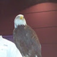 Profile Picture of Tandi Davis (@tandi-davis) on Quora