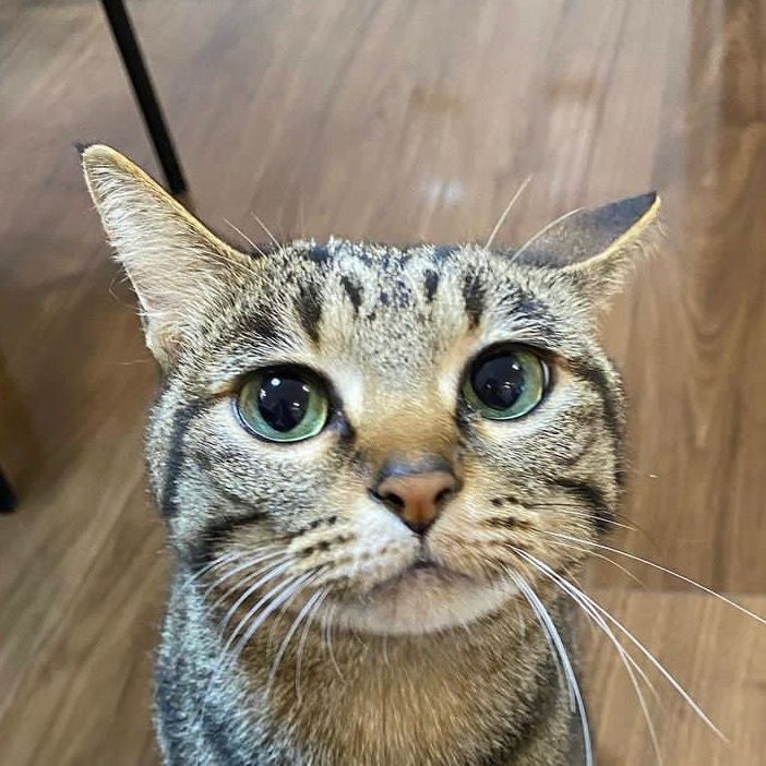 timster - Tiktok Profile Picture of timster (@timothytru) on Tiktok