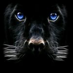 Profile Picture of Баржаксы Исахан (@barjaksy_97) on Instagram