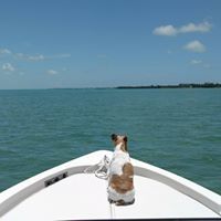 Profile Picture of Gavin Gillette (@gillette2424) on Pinterest