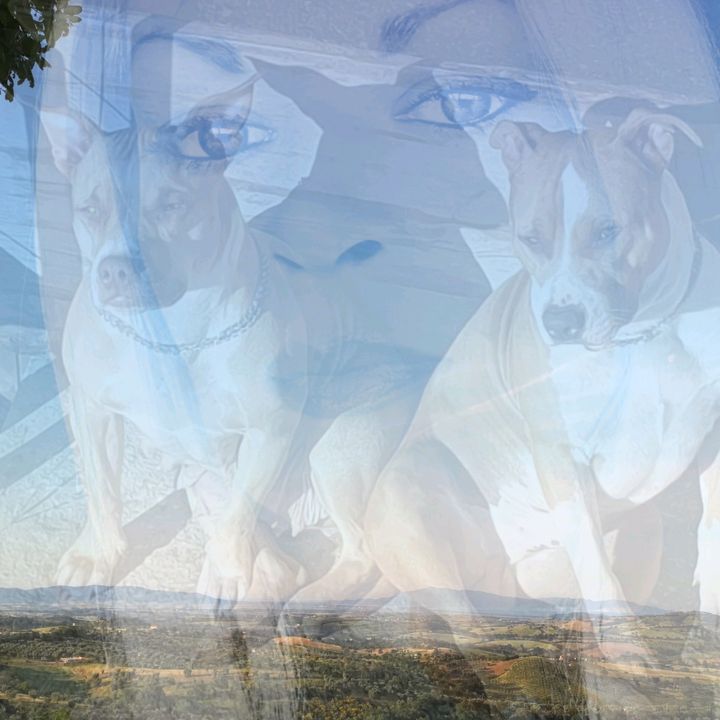 Profile Picture of Jolene (@jolene.hacker.zoe) on Tiktok