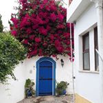 Profile Picture of Fiona Nicolson (@fiona_nic2002) on Instagram