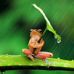 Profile Picture of John Saxton (@John P Saxton) on Flickr