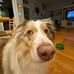 Profile Picture of Seth Bradley (@seth.bradley.90834) on Facebook