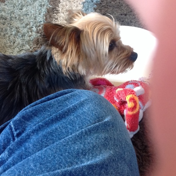 Profile Picture of Glenn Clark (@glcl62) on Poshmark