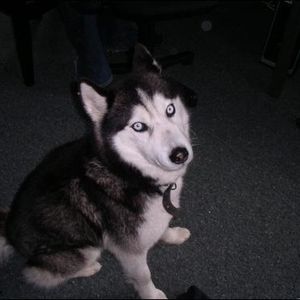 Profile Picture of Peter Phillip (@remyhart) on Myspace