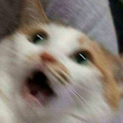 Profile Picture of Daniela Marroquin (@danielamarroquin3110) on Youtube