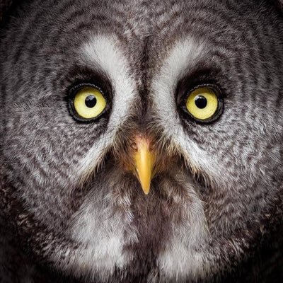 Profile Picture of Ruth Luque Castro (@ruthluquecastro) on Twitter