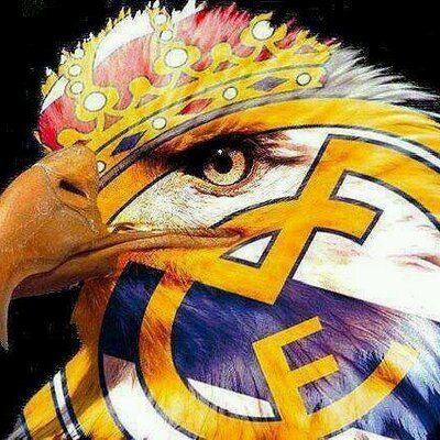 Profile Picture of Jimmy Calixto (@jimmy_calixto) on Twitter