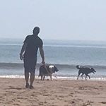 Profile Picture of Steve Newton (@steve.newton_) on Instagram