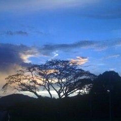 Profile Picture of Daniel Morillo (@danielmv79) on Twitter