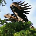 Profile Picture of Darrell Barnes (@darrell.barnes.391) on Instagram
