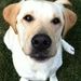 Profile Picture of Erick McMurray (@erickmcmurray) on Pinterest