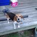 Profile Picture of Carroll Overman (@Carroll-Overman) on Facebook