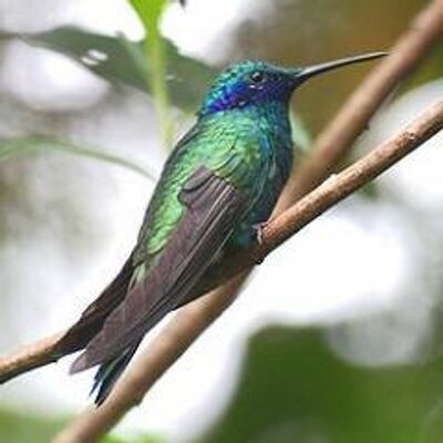 Profile Picture of María Borjas (@mariaborjas07) on Twitter