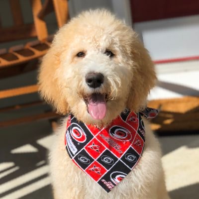 Profile Picture of Chris In Raleigh (@WChrisE) on Twitter