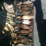 Profile Picture of Chase Menard (@chasemenard) on Instagram