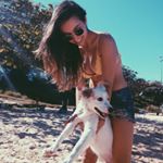 Profile Picture of Paula Zerbone (@paulazerbone) on Instagram