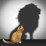 Profile Picture of Loretta Zorzetto (@zorzettoloretta) on Instagram