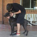 Profile Picture of Maria Alejandra Mattio (@mattio_ale) on Instagram