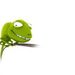 Profile Picture of Abhik Dutta (@mailabhikdutta) on Pinterest