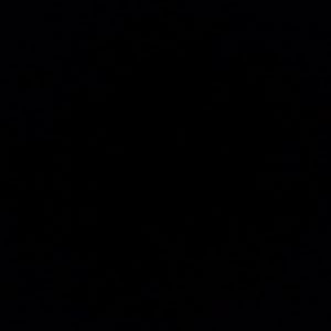 Profile Picture of Tom Blau (@_Tom_Blau_) on Twitter