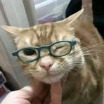 Profile Picture of Timothy Laguda (@timothy.laguda.73) on Facebook