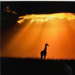 Profile Picture of Jan Stratmann (@jan.stratmann.14) on Facebook