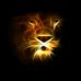 Profile Picture of Ghulam Malik (@ghulam.malik.5283) on Facebook