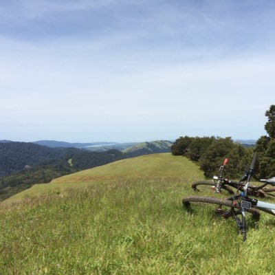 Profile Picture of Richard Morgan (@bikeandwalk) on Twitter