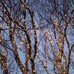 Profile Picture of John Reford (@john_reford) on Instagram