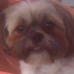 Profile Picture of Beverly Snyder-Hahn (@snyderhahnbeverly) on Instagram