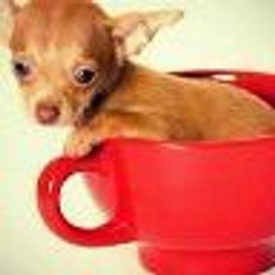 Profile Picture of Tony Mulkey (@@Tonymulkey1Tony) on Twitter