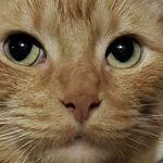 Profile Picture of Justin Valk (@jvalk101) on Instagram