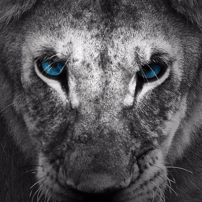 Profile Picture of Samuel Devinci (@SamuelDeVinci) on Twitter