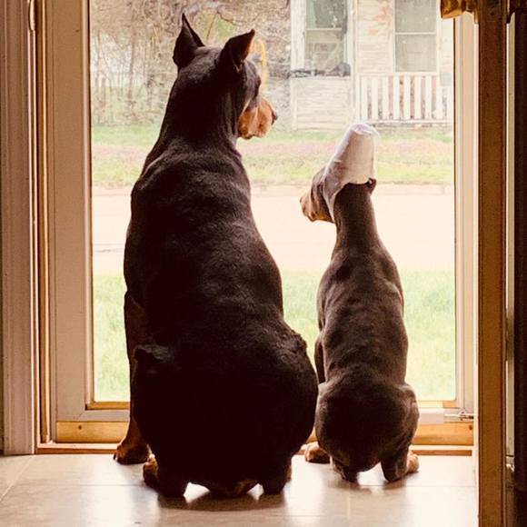 Profile Picture of Danny Barajas (@dbar4490) on Poshmark