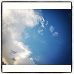 Profile Picture of Gary Reedy (@doradesen) on Instagram