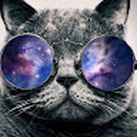 Profile Picture of James Vong (@james-vong-11) on Quora