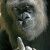 Profile Picture of Dustin Downey (@navato16) on Pinterest