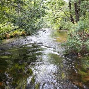 Profile Picture of Jeffrey Handel (@jmhandel) on Twitter