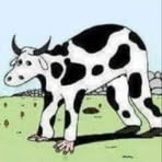 James Dollbo - Facebook Profile Picture of James Dollbo (@James-Dollbo) on Facebook