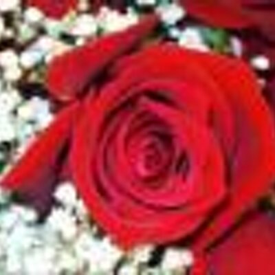 Profile Picture of Sonia Y. Foster (@Yabette) on Twitter