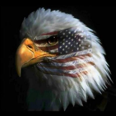 Profile Picture of Alex Perfecto (@ddc4f1024075428) on Twitter