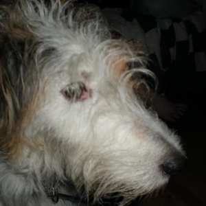 Profile Picture of Fergus Grant (@312644491) on Myspace