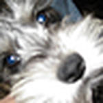 Profile Picture of Michael Monaghan (@mjmaker) on Flickr