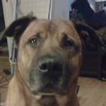 Profile Picture of Kim Moen (@kim.moen) on Instagram