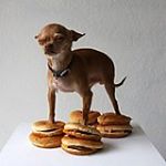 Profile Picture of Stephen Congdon (@angestevelizi) on Instagram