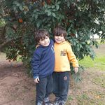 Profile Picture of Guillermo Richard Geli Mura (@gelimura) on Instagram